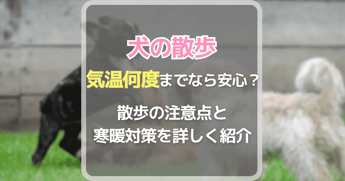 犬の散歩は気温何度まで安心？散歩の注意点と寒暖対策を詳しく紹介